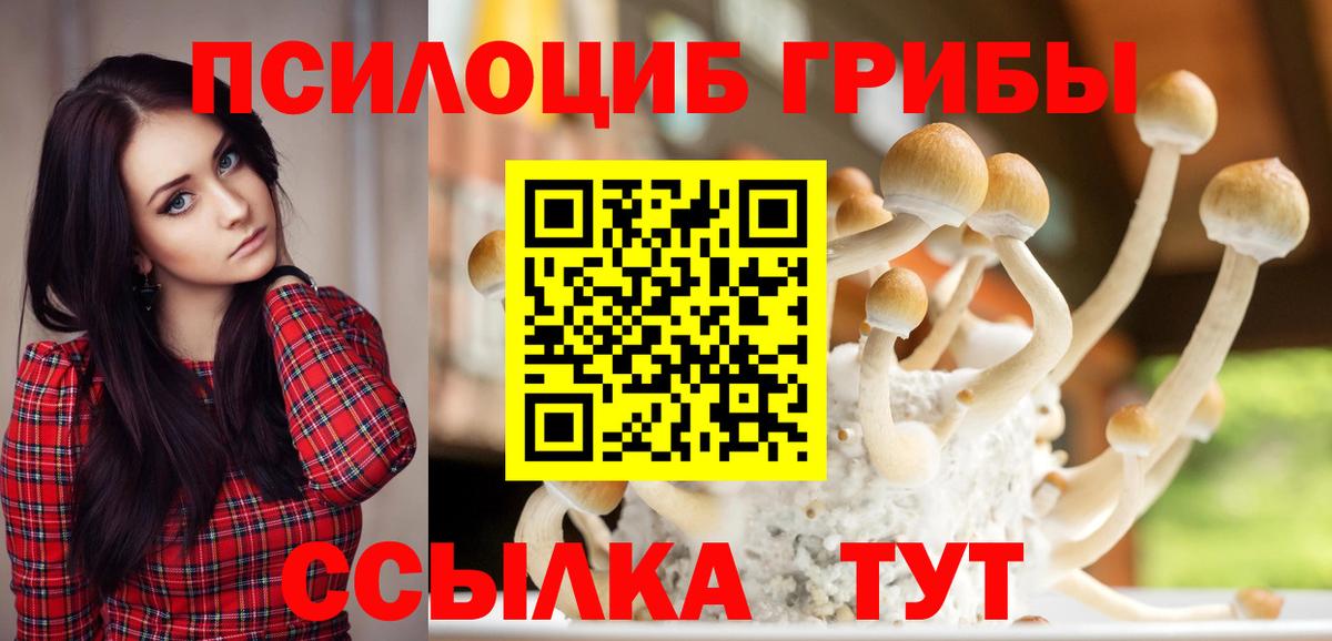 Горячий Ключ  Псилоцибиновые грибы Magic Shrooms  Псилоцибиновые грибы Psilocybine cubensis  Вход с VPN 