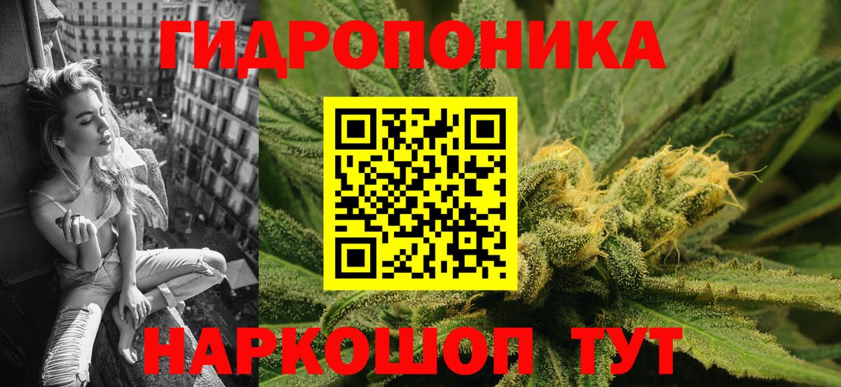 Конопля индика Горячий Ключ